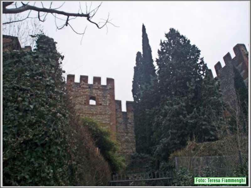 P1170026