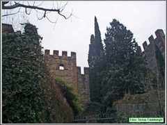 P1170026