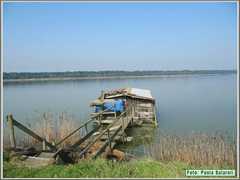 IMG_0938