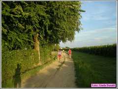 CastelB10_016