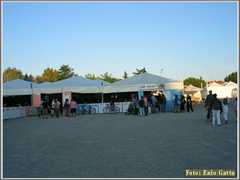 IMG_0006