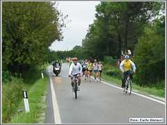 Faenza_025