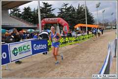 GFG_4774