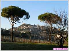 Bertinoro11_004