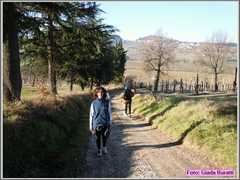 Bertinoro11_015