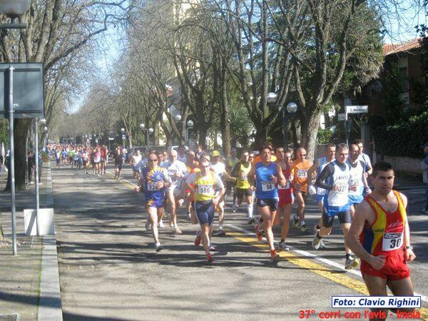 37_avis_032