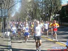 37_avis_055