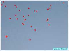 PICT1860