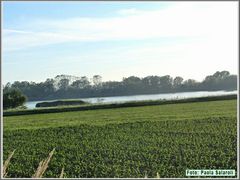 img_7698
