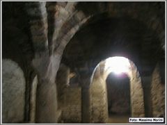 6_trof_primav_044