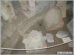 6_trof_primav_045