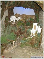 6_trof_primav_046