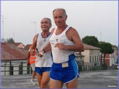 Alfonsine_009