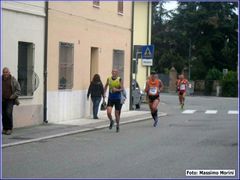 37_trof_uva_533