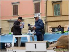 P1160599