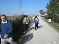 IMG_0959