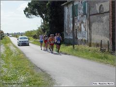 7_t_primavera_110_4.2km