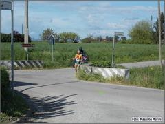 7_t_primavera_183_8km