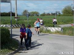 7_t_primavera_290_8km