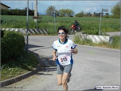 7_t_primavera_311_8km