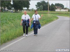 IMG_4557
