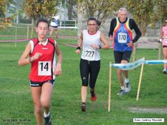 SAM_1570