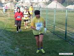 SAM_2401