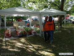 DSC00227