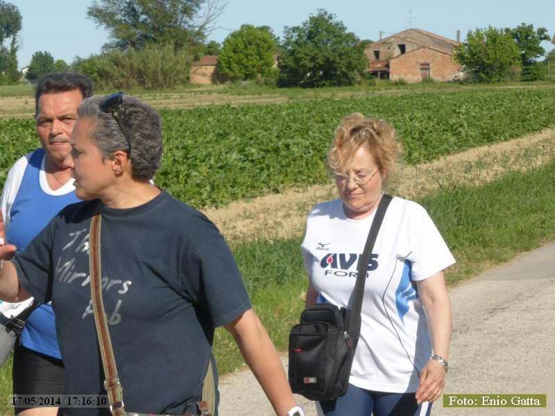 P1150153