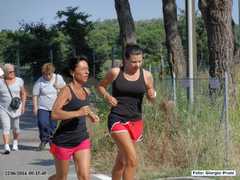 DSC01175