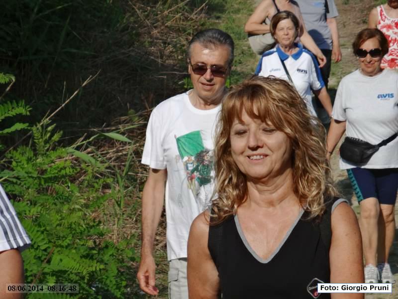 DSC00865