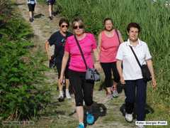 DSC00885