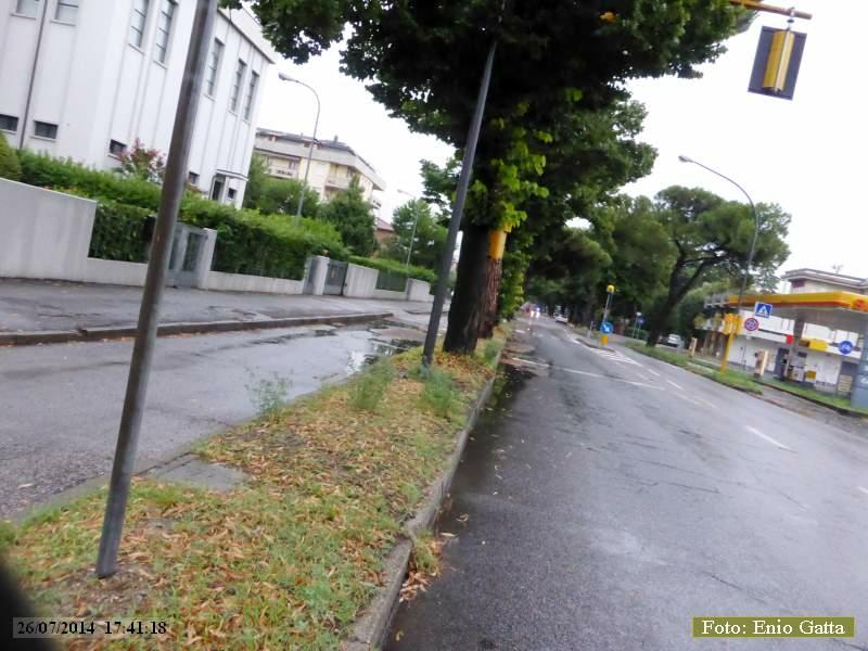 P1190370