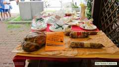 IMG_0636