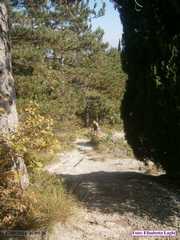 P9270091