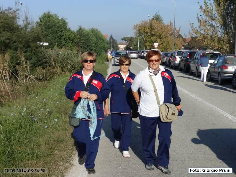 DSC02013