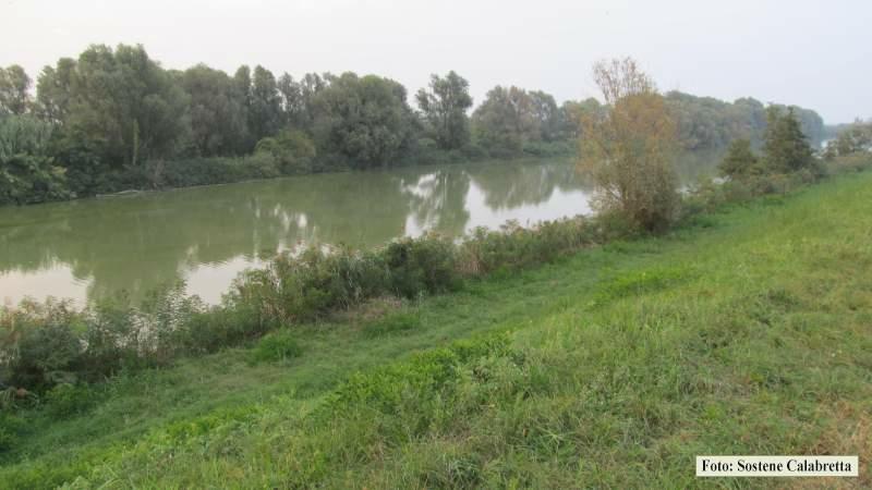 IMG_0744