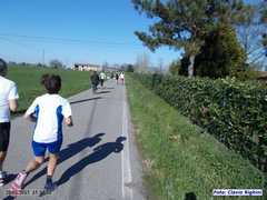 loris_pd_03