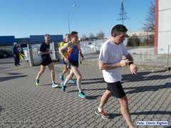 loris_pd_10