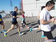 loris_pd_11