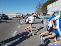 loris_pd_16