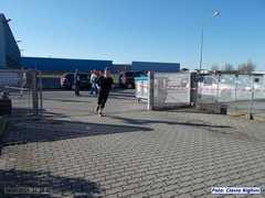 loris_pd_27