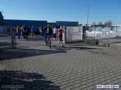 loris_pd_35