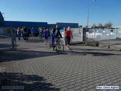 loris_pd_36