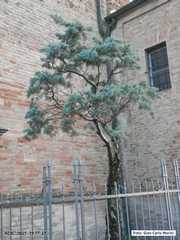 P7020037