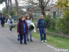DSC01981