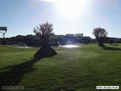 DSC03667