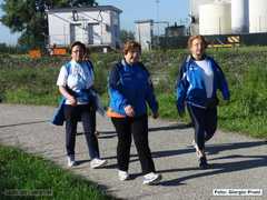 DSC03684