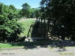 IMG_5560