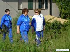 DSCN1529